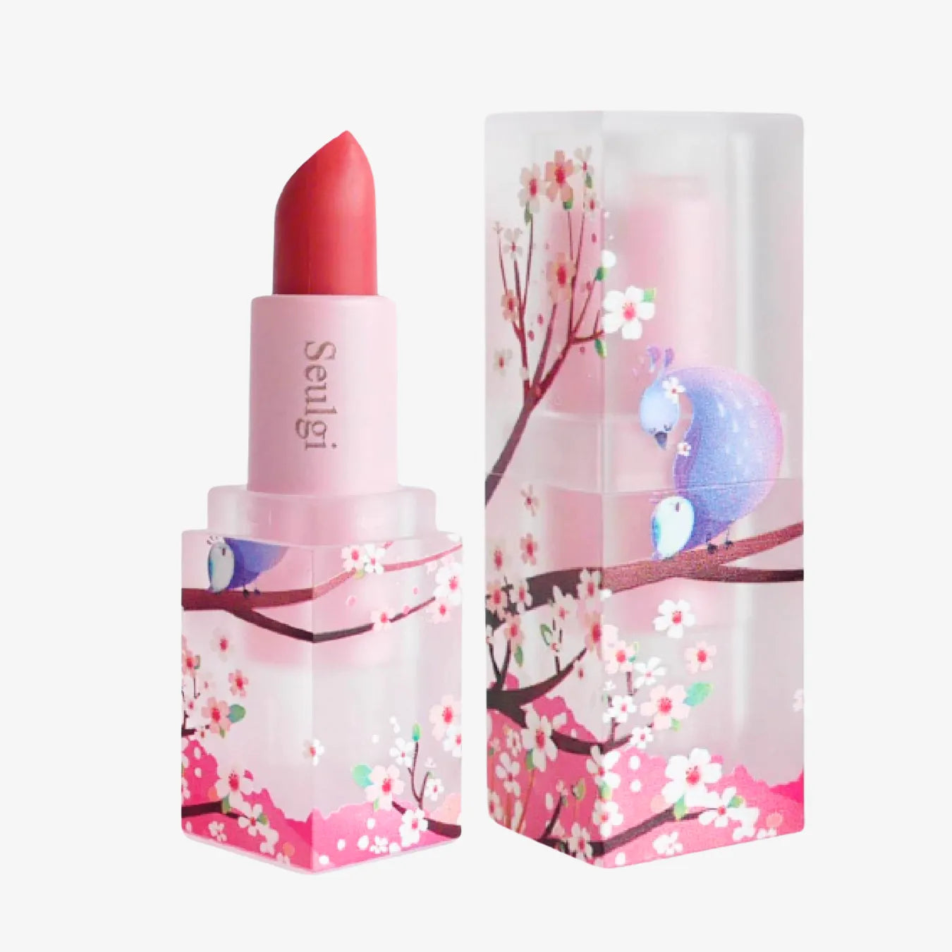 Customised Lipstick - Transparent Series